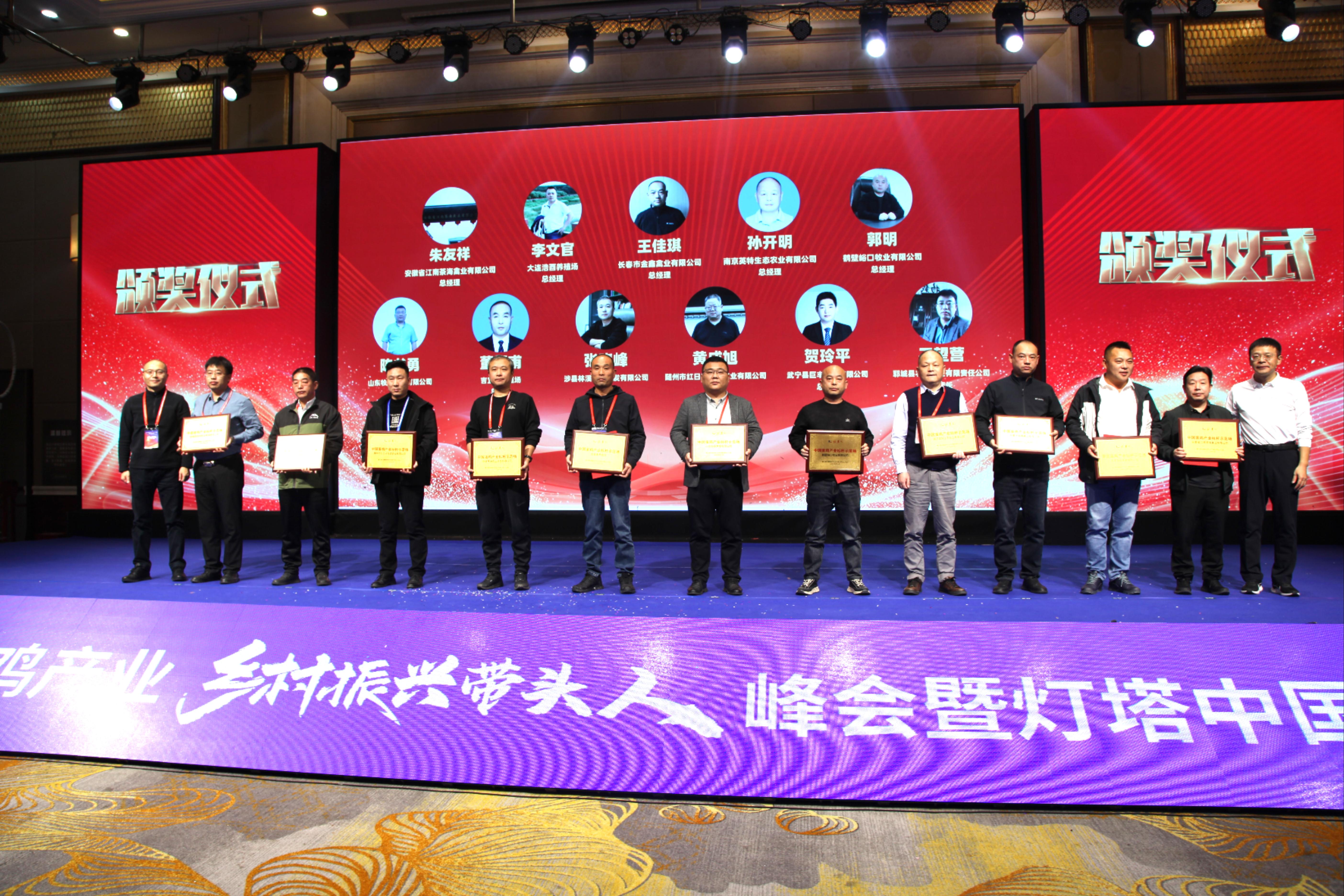 17621393509083.jpg 03.jpg